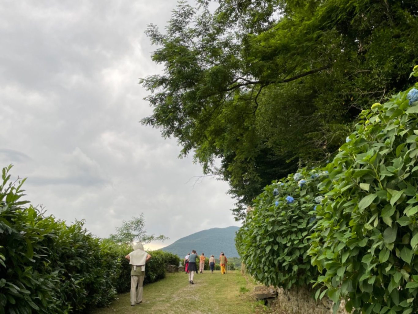 Promenade avec élèves en formation Yoga Nidra à Lestelle Bétharram